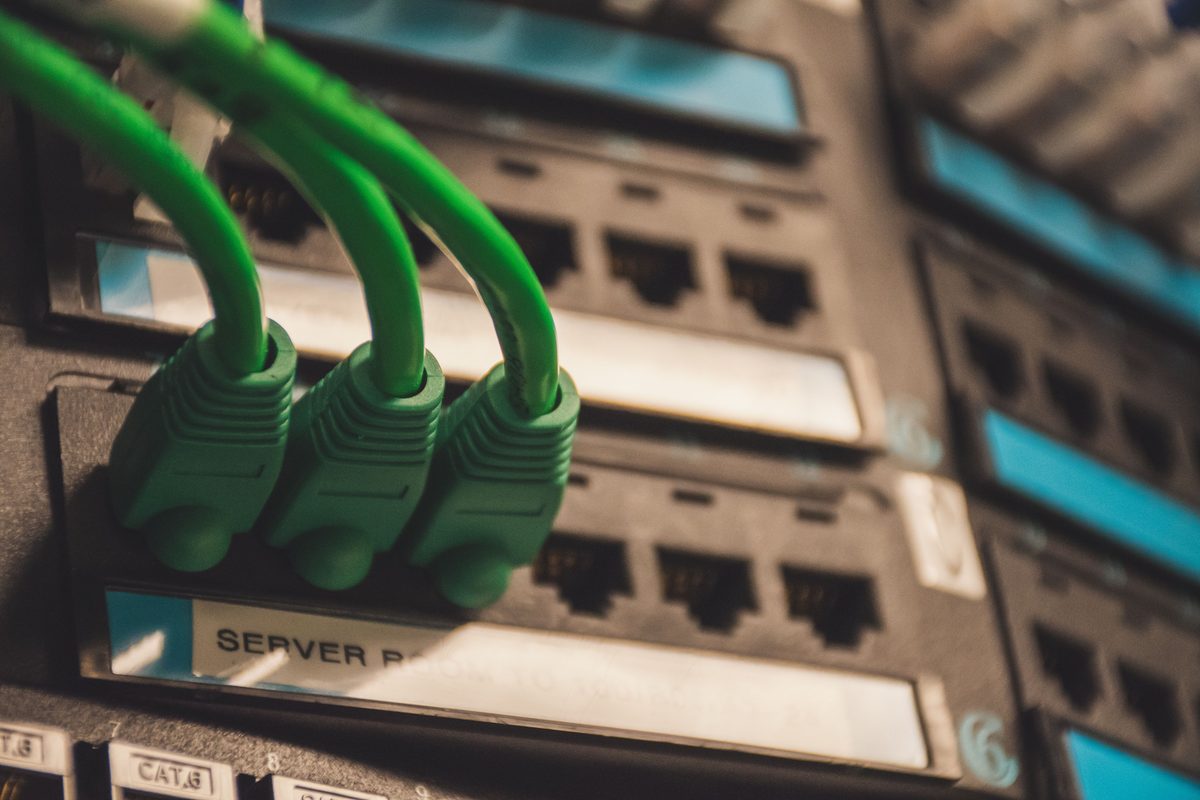 Câbles réseau RJ45 verts dans une baie de brassage