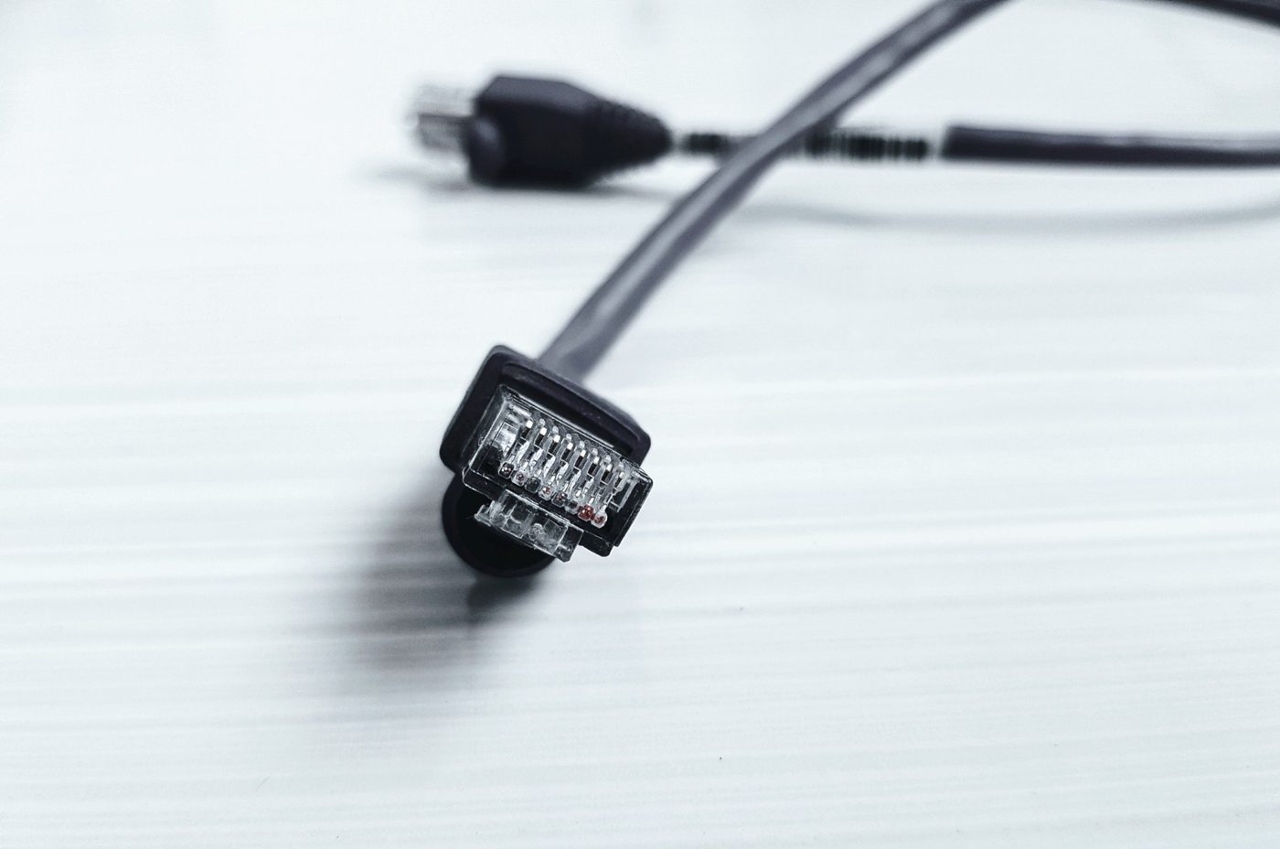 Connecteur RJ45 sur câble Ethernet catégorie 6